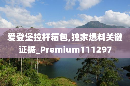 爱登堡拉杆箱包,独家爆料关键证据_Premium111297