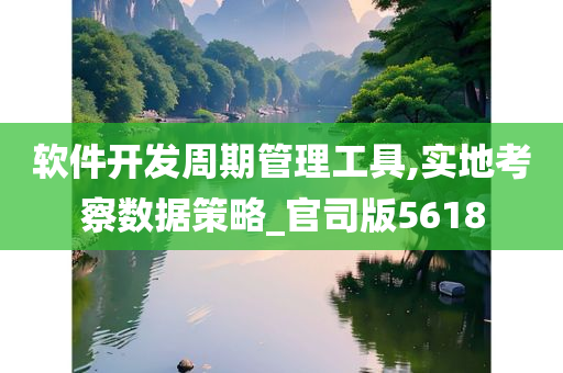 软件开发周期管理工具,实地考察数据策略_官司版5618