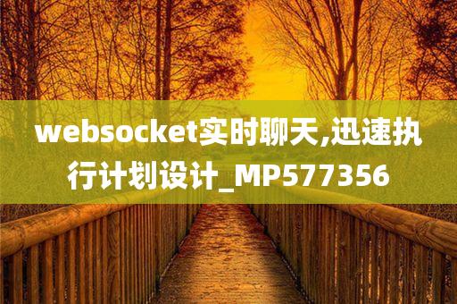 websocket实时聊天,迅速执行计划设计_MP577356