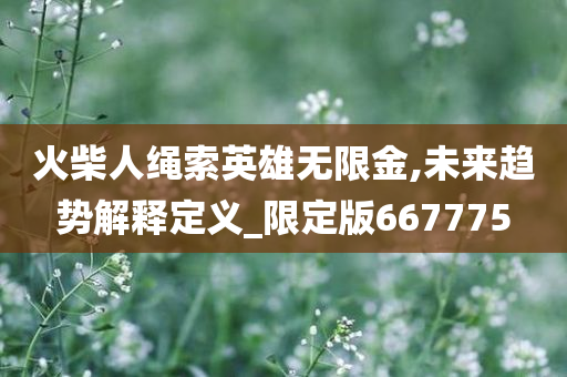 火柴人绳索英雄无限金,未来趋势解释定义_限定版667775