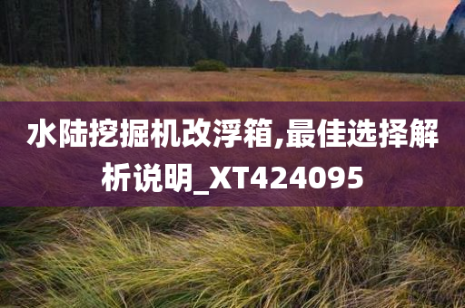 水陆挖掘机改浮箱,最佳选择解析说明_XT424095