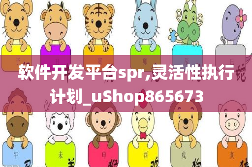 软件开发平台spr,灵活性执行计划_uShop865673