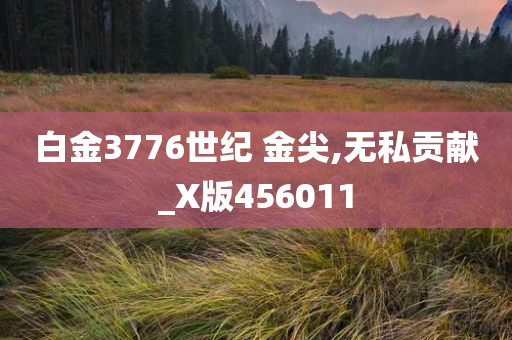 白金3776世纪 金尖,无私贡献_X版456011