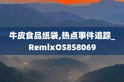 牛皮食品纸袋,热点事件追踪_RemixOS858069