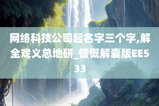 网络科技公司起名字三个字,解全戏义总地研_慷慨解囊版EE533