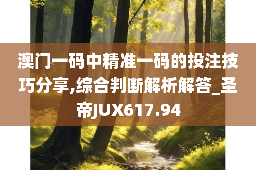 澳门一码中精准一码的投注技巧分享,综合判断解析解答_圣帝JUX617.94