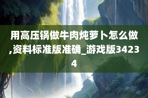 用高压锅做牛肉炖萝卜怎么做,资料标准版准确_游戏版34234