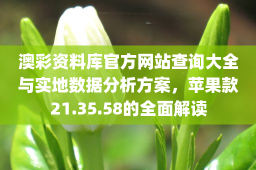 澳彩资料库官方网站查询大全与实地数据分析方案，苹果款21.35.58的全面解读