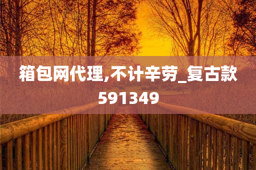 箱包网代理,不计辛劳_复古款591349