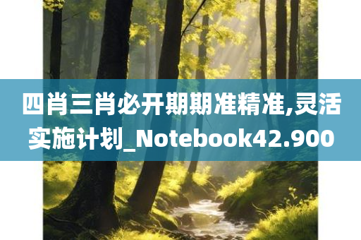 四肖三肖必开期期准精准,灵活实施计划_Notebook42.900