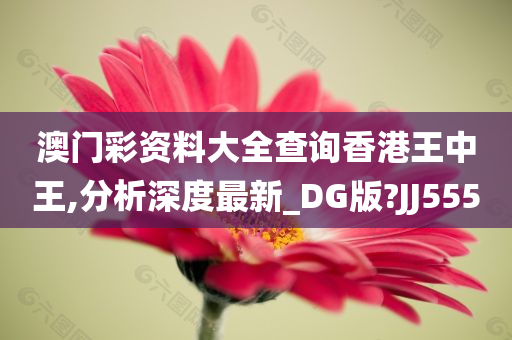 澳门彩资料大全查询香港王中王,分析深度最新_DG版?JJ555