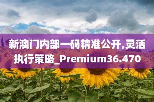 新澳门内部一码精准公开,灵活执行策略_Premium36.470