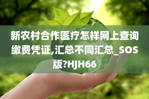 新农村合作医疗怎样网上查询缴费凭证,汇总不同汇总_SOS版?HJH66