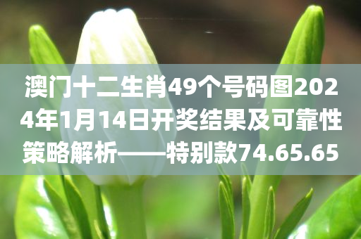 澳门十二生肖49个号码图2024年1月14日开奖结果及可靠性策略解析——特别款74.65.65