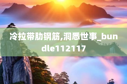 冷拉带肋钢筋,洞悉世事_bundle112117