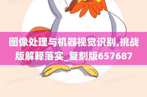 图像处理与机器视觉识别,挑战版解释落实_复刻版657687