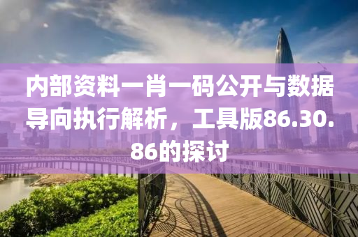 内部资料一肖一码公开与数据导向执行解析，工具版86.30.86的探讨