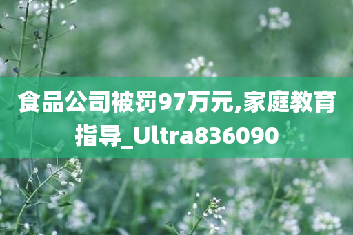 食品公司被罚97万元,家庭教育指导_Ultra836090