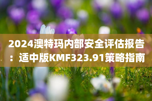 2024澳特玛内部安全评估报告：适中版KMF323.91策略指南