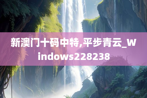 新澳门十码中特,平步青云_Windows228238