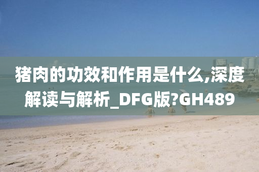 猪肉的功效和作用是什么,深度解读与解析_DFG版?GH489