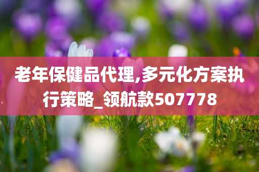 老年保健品代理,多元化方案执行策略_领航款507778