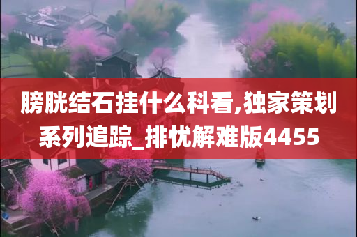 膀胱结石挂什么科看,独家策划系列追踪_排忧解难版4455