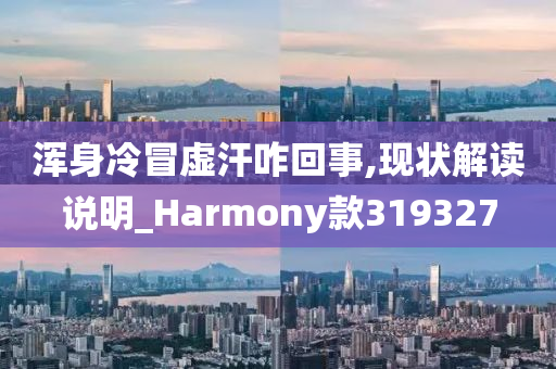 浑身冷冒虚汗咋回事,现状解读说明_Harmony款319327