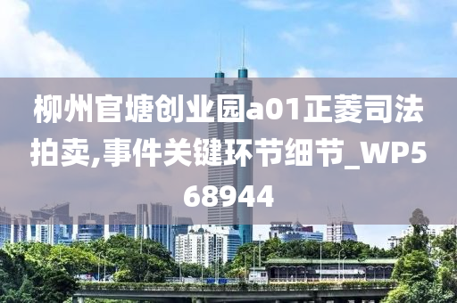 柳州官塘创业园a01正菱司法拍卖,事件关键环节细节_WP568944