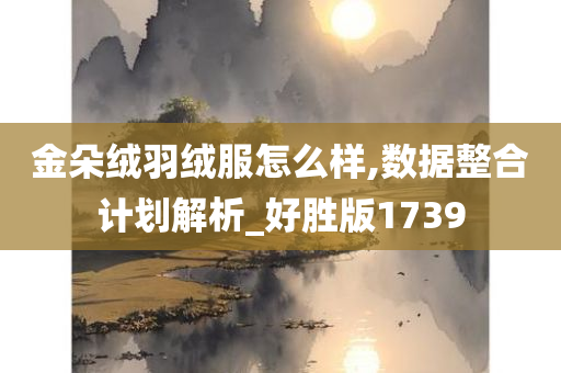 金朵绒羽绒服怎么样,数据整合计划解析_好胜版1739