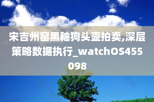 宋吉州窑黑釉狗头壶拍卖,深层策略数据执行_watchOS455098