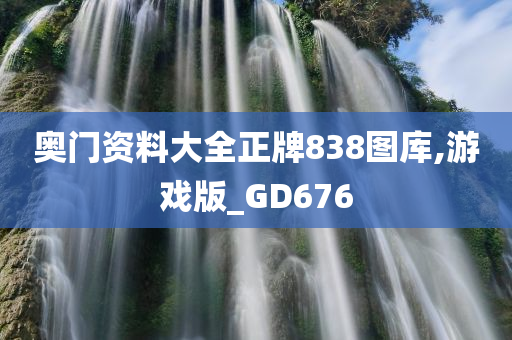 奥门资料大全正牌838图库,游戏版_GD676