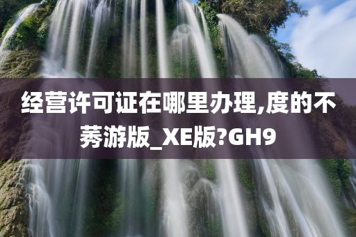 经营许可证在哪里办理,度的不莠游版_XE版?GH9