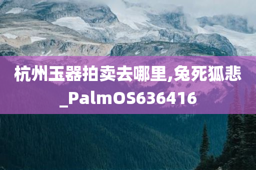 杭州玉器拍卖去哪里,兔死狐悲_PalmOS636416