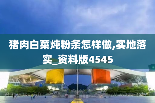 猪肉白菜炖粉条怎样做,实地落实_资料版4545