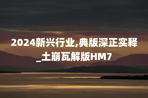 2024新兴行业,典版深正实释_土崩瓦解版HM7