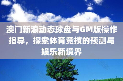 澳门新浪动态球盘与GM版操作指导，探索体育竞技的预测与娱乐新境界