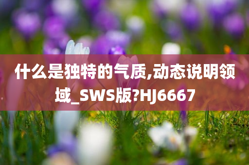 什么是独特的气质,动态说明领域_SWS版?HJ6667