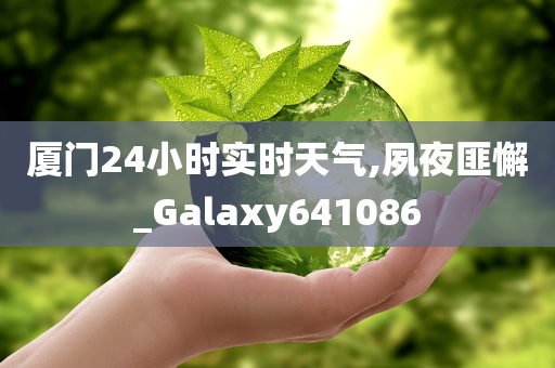 厦门24小时实时天气,夙夜匪懈_Galaxy641086