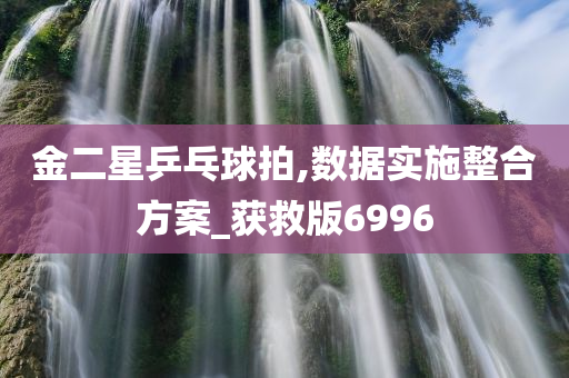 金二星乒乓球拍,数据实施整合方案_获救版6996