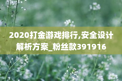 2020打金游戏排行,安全设计解析方案_粉丝款391916