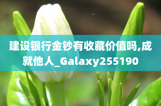 建设银行金钞有收藏价值吗,成就他人_Galaxy255190