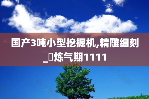 国产3吨小型挖掘机,精雕细刻_‌炼气期1111