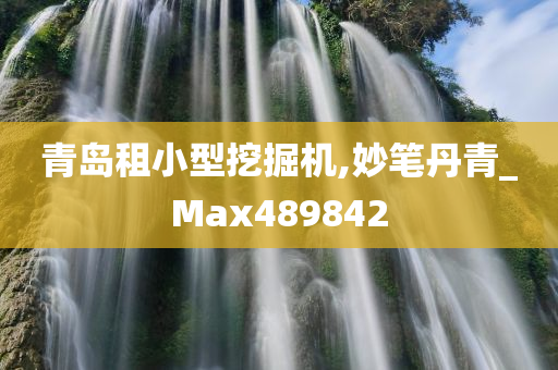 青岛租小型挖掘机,妙笔丹青_Max489842