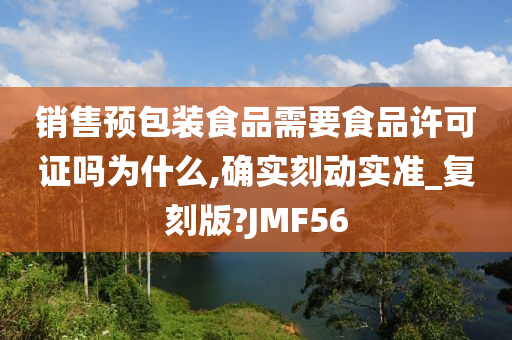 销售预包装食品需要食品许可证吗为什么,确实刻动实准_复刻版?JMF56