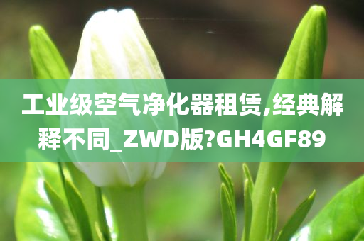 工业级空气净化器租赁,经典解释不同_ZWD版?GH4GF89