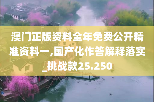 澳门正版资料全年免费公开精准资料一,国产化作答解释落实_挑战款25.250