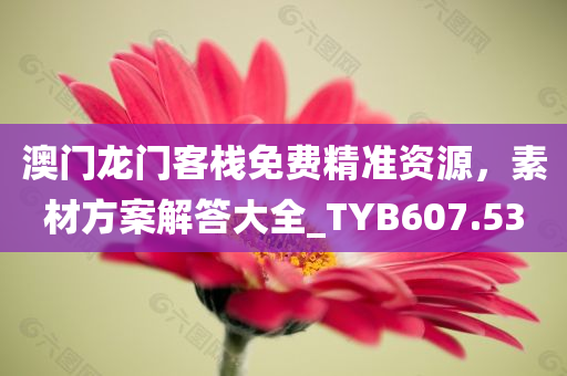 澳门龙门客栈免费精准资源，素材方案解答大全_TYB607.53