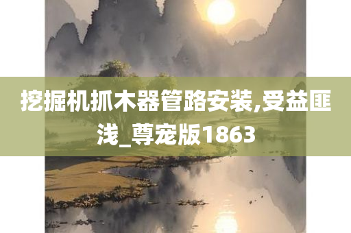 挖掘机抓木器管路安装,受益匪浅_尊宠版1863