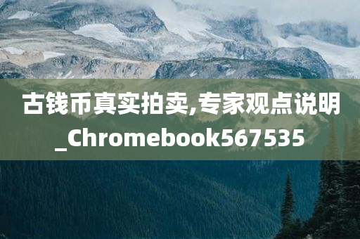 古钱币真实拍卖,专家观点说明_Chromebook567535